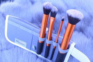 Brushes in panaromic case