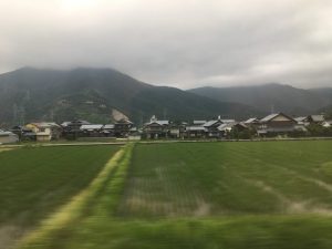 view from train window